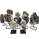 Smoky Quartz - Cluster/Plate - Mineral on Stand - Brazil - Root Chakra