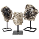 Smoky Quartz - Cluster/Plate - Mineral on Stand - Brazil - Root Chakra