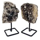 Smoky Quartz - Cluster/Plate - Mineral on Stand - Brazil - Root Chakra