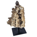 Smoky Quartz - Cluster/Plate - Mineral on Stand - Brazil - Root Chakra