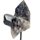 Smoky Quartz - Cluster/Plate - Mineral on Stand - Brazil - Root Chakra