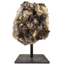 Smoky Quartz - Cluster/Plate - Mineral on Stand - Brazil - Root Chakra