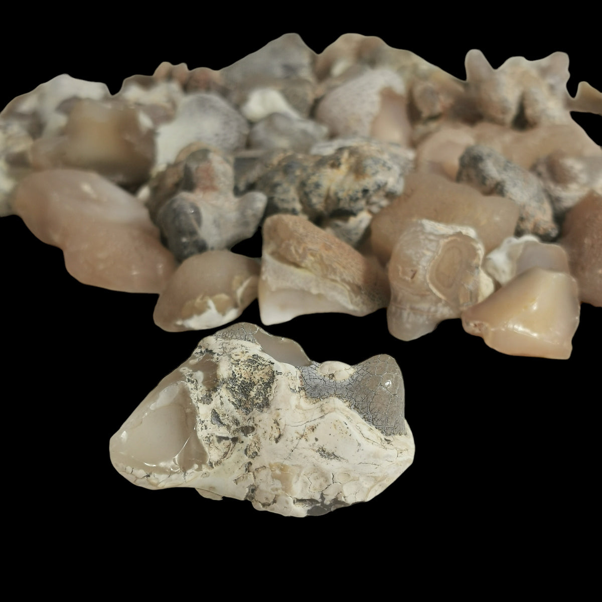 Snakeskin Agate (C-grade) tumble, a variety of chalcedony, from Rome, Oregon, USA.