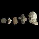 Snakeskin Agate - (C Grade) - Tumble