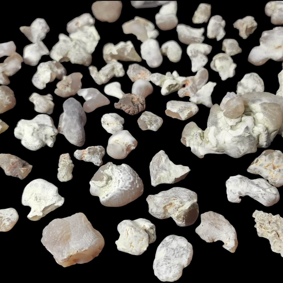 Snakeskin Agate (B-grade) tumble, a variety of chalcedony, from Rome, Oregon, USA.