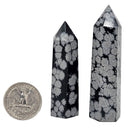 Snowflake Obsidian - Tower - Utah, USA - Root Chakra