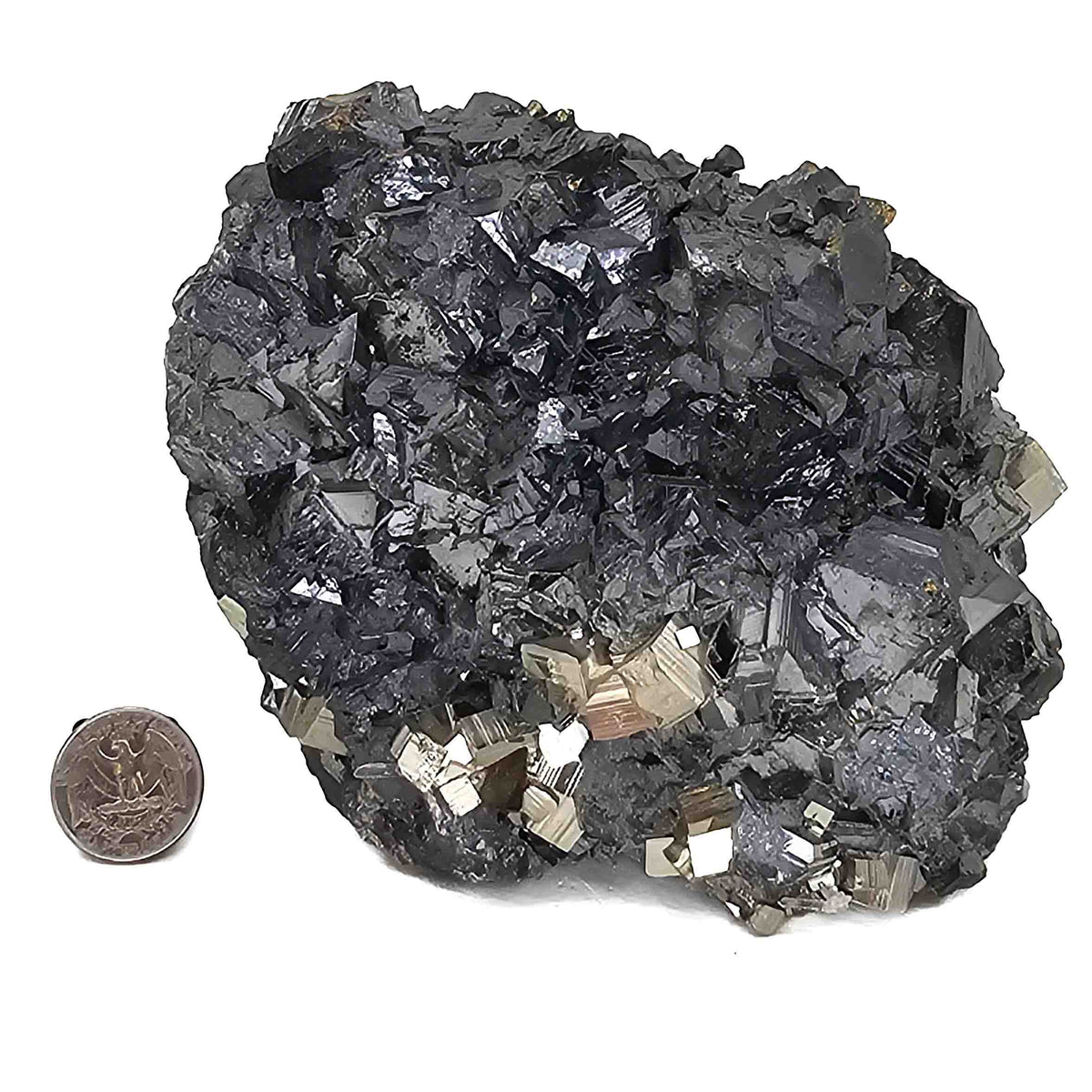 Sphalerite with Pyrite specimen from Huanzala Mine, Huallanca District, Ancash, Peru.