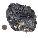 Sphalerite with Pyrite - Specimen