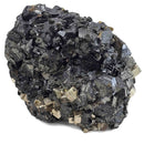 Sphalerite with Pyrite - Specimen