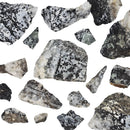 Stilpnomelane - Rough - WA, USA