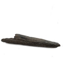 Swordfish Bill Fragment - Fossil Specimen