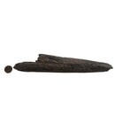 Swordfish Bill Fragment - Fossil Specimen