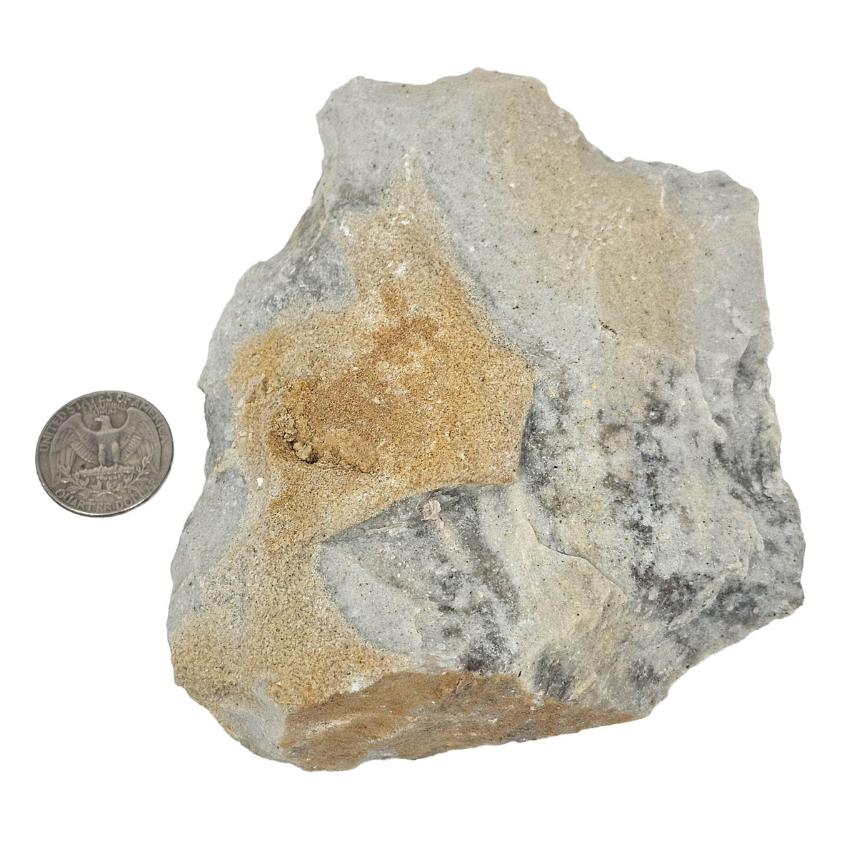 Tallahatta quartzite rough from Mississippi – single piece beside a coin for scale