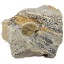 Tallahatta Quartzite - Rough - Mississippi, USA