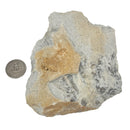 Tallahatta Quartzite - Rough - Mississippi, USA