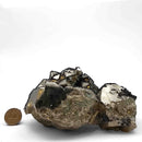 Tetrahedrite on Pyrite - Specimen