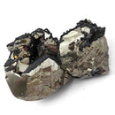 Tetrahedrite on Pyrite - Specimen