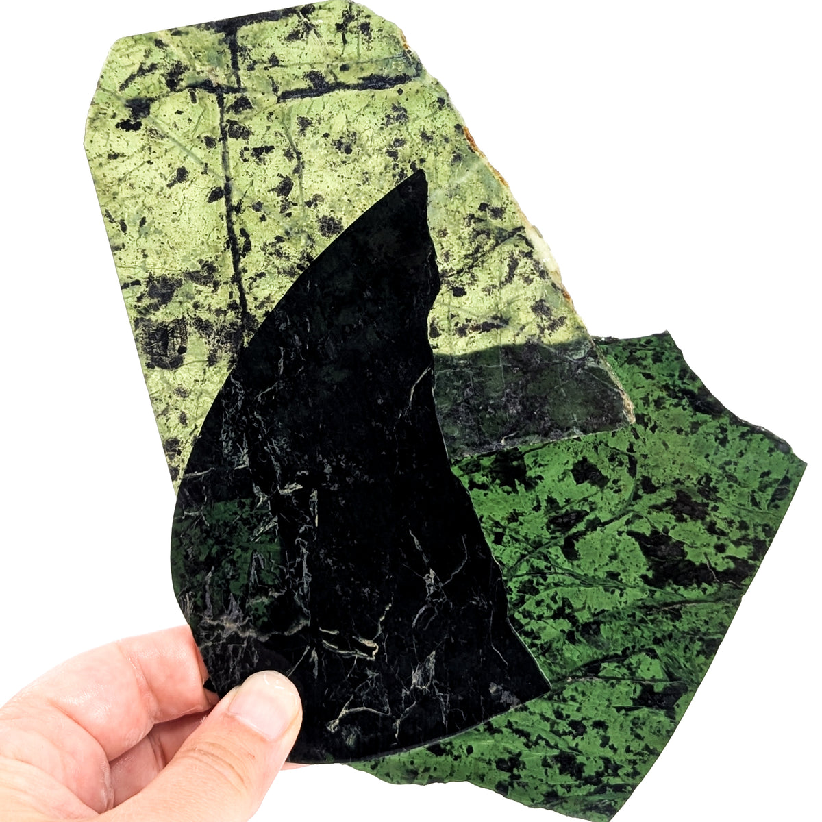 Thin cut serpentine rough from BC – slices held in hand
