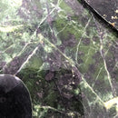 Thin Cut Serpentine - Rough