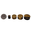 Tigers Eye - Plug - South Africa - solar plexus chakra