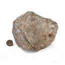 Tourmalinated Quartz - Specimen Rough