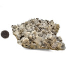 Tourmaline on Feldspar - Specimen