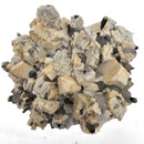 Tourmaline on Feldspar and Smoky Quartz - Specimen