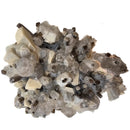 Tourmaline on Feldspar and Quartz - Specimen