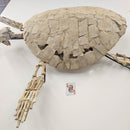 Toxochelys Sea Turtle - Fossil Wall Mounted - Statement Specimen