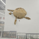 Toxochelys Sea Turtle - Fossil Wall Mounted - Statement Specimen