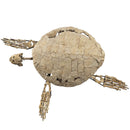 Toxochelys Sea Turtle - Fossil Wall Mounted - Statement Specimen