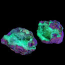 Trancas Geode - Mineral - Mexico - Crown Chakra - UV reactive
