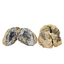 Trancas Geode - Mineral - Mexico - Crown Chakra - UV reactive