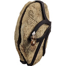 Acadoparadoxides Trilobite - Hinged Frame Wall Mount - Fossil Statement Specimen