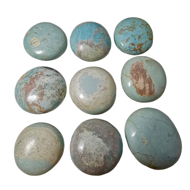 Turquoise - Palm Stone