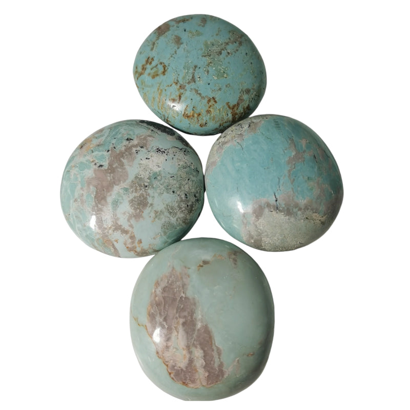 Turquoise - Palm Stone