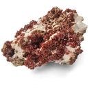 Vanadinite on Barite - Specimen