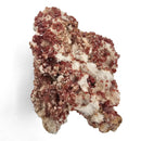 Vanadinite on Barite - Specimen
