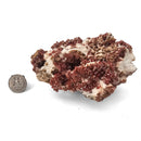 Vanadinite on Barite - Specimen