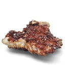 Vanadinite on Barite - Specimen