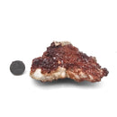 Vanadinite on Barite - Specimen