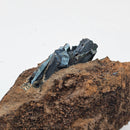 Vivianite - Specimen