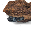 Vivianite - Specimen