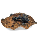 Vivianite - Specimen