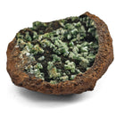 Vivianite and Ludlamite - Specimen