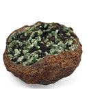 Vivianite and Ludlamite - Specimen