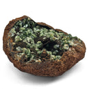 Vivianite and Ludlamite - Specimen