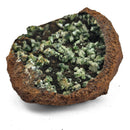 Vivianite and Ludlamite - Specimen