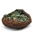 Vivianite and Ludlamite - Specimen