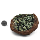 Vivianite and Ludlamite - Specimen